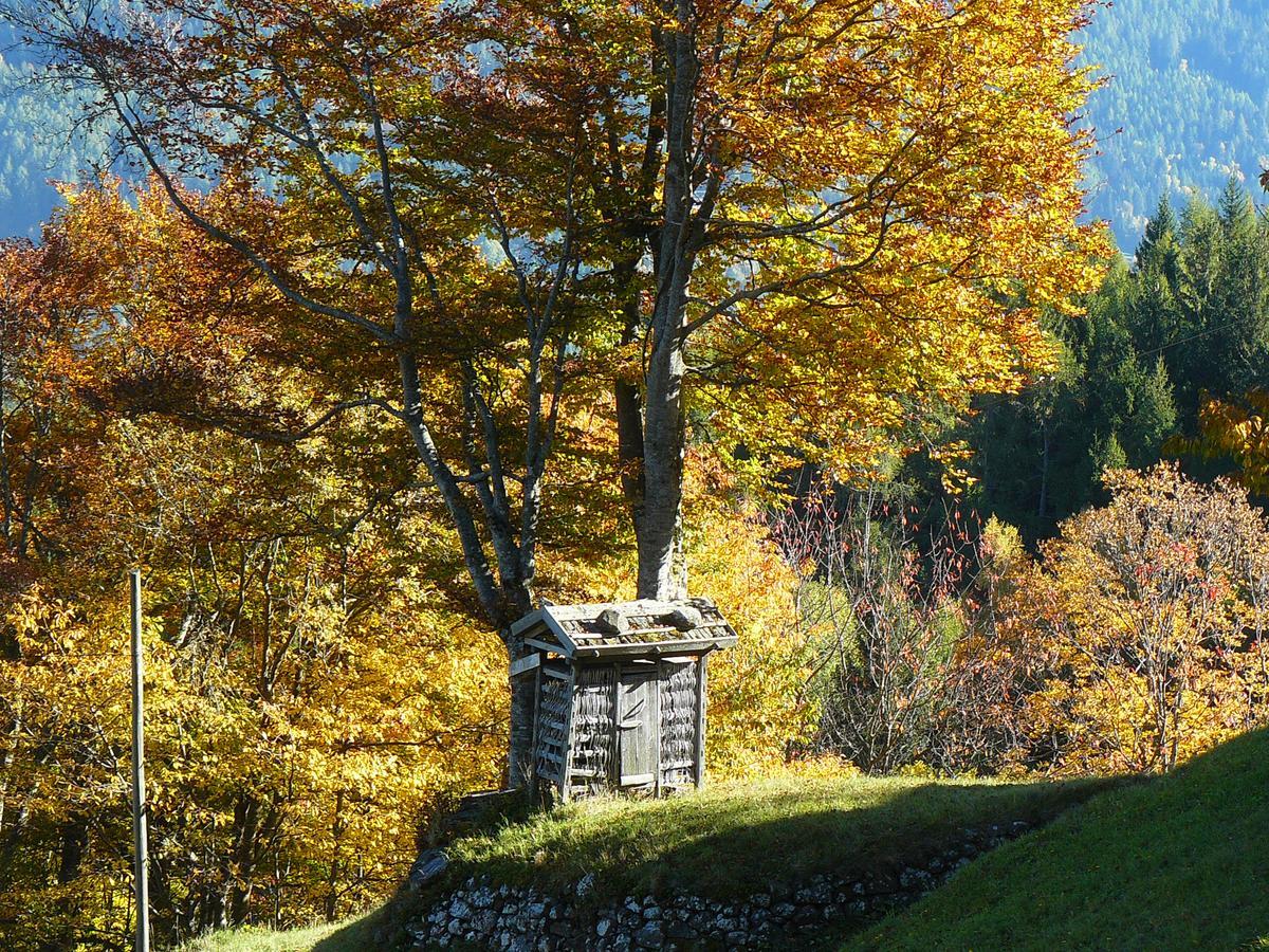 Вилла Baita Cavecia Sant'Orsola Экстерьер фото